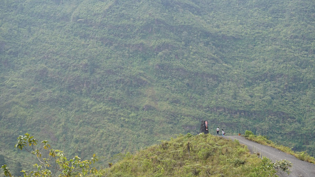 hutan kita