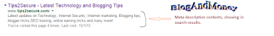 how to put meta tags