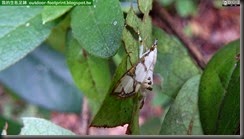 20140923_152633_090_YehLiu