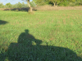 lawnmower shadow