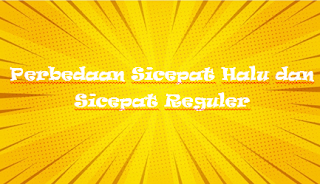 Perbedaan Sicepat Halu dan Sicepat Reguler