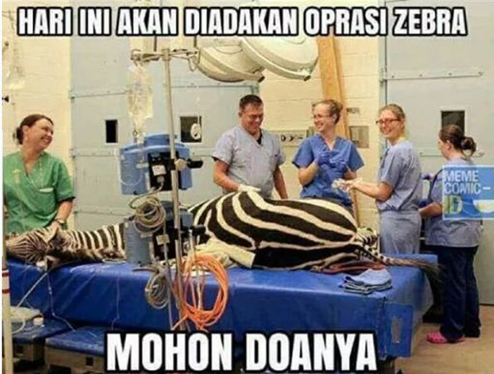 47 Meme Lucu Operasi Zebra Keren Dan Terbaru Puzzle