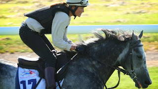 melbourne cup