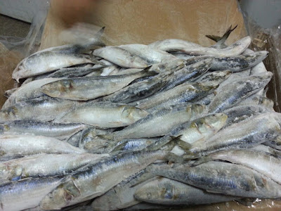 https://www.facebook.com/Bestqualityfishctg/
