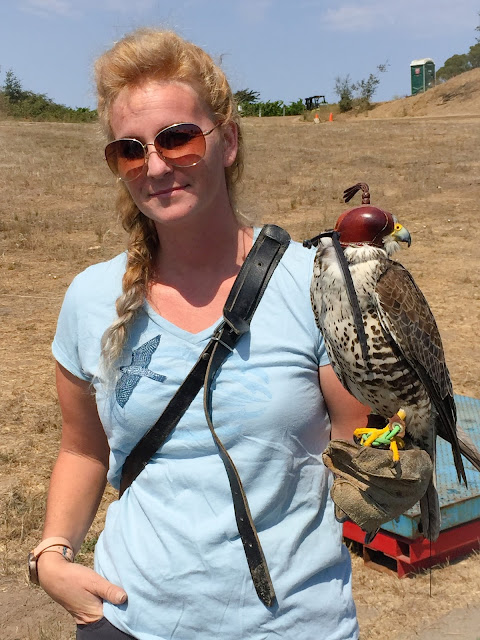 Rebecca Rosen of Authentic Abatement--Falconry