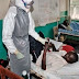  Ebola : une trentaine de décès enregistrés à ce jour ! 