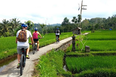 Things to Do in Bali for Couples Cycling with your couple in Ubud