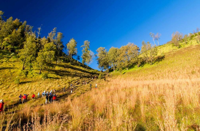 Pemadangan Cantik Tanjakan Cintak Puncak Mahameru