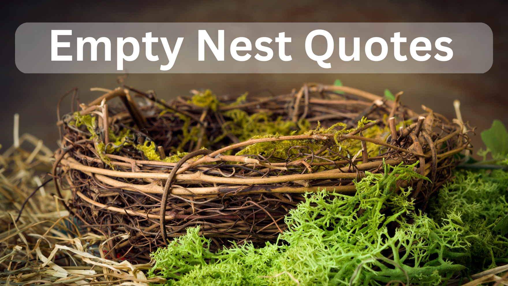 Empty Nest Quotes
