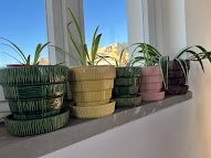 McCoy Basket Weave Flower Pots and Chlorphytum comosum