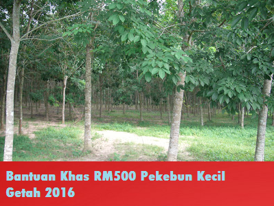 Bantuan Khas Pekebun Kecil Getah 2016