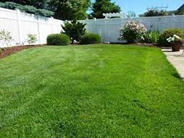 http://www.ohioturfsolutions.com/lawn-care