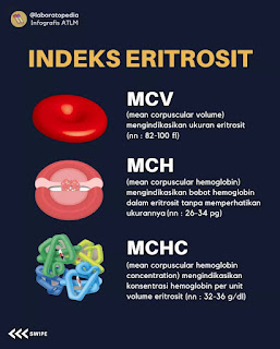 Indeks eritrosit terdiri atas Mean Corpuscular Volume (MCV), Mean Corpuscular Hemoglobin (MCH), dan Mean Corpuscular Hemoglobin Concentration (MCHC)