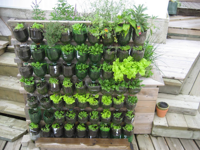 Membuat Kebun di Atas Langit: Tips Memulai Kebun Sayur Vertikal di Balkon