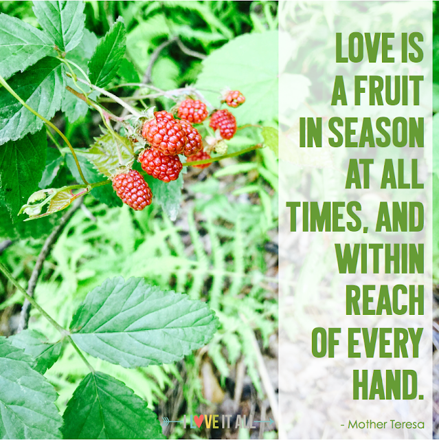 #love #fruit #Mother Teresa # inspirational #motivational #quote #sayings