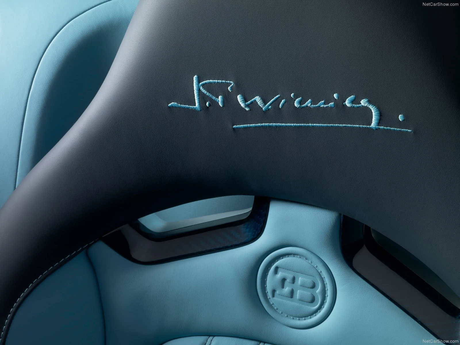 Hình ảnh siêu xe Bugatti Veyron Jean-Pierre Wimille 2013 & nội ngoại thất