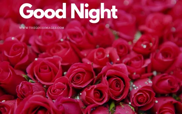 Good Night Rose Image
