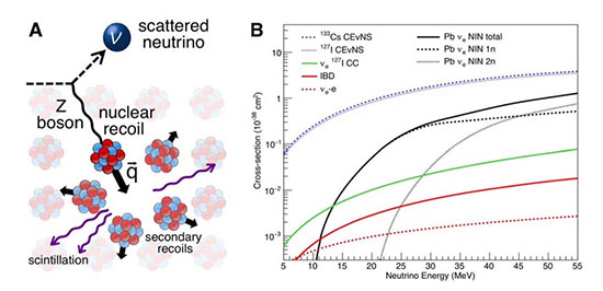 Coherent Elastic Neutrino-Nucleus Scattering yields big sensitivity improvements (Source: COHERENT Collaboration)