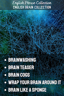 English Phrase Collection | English Brain Collection | Brainwashing,  Brain teaser,  Brain cogs, Wrap your brain around it, Brain like a sponge