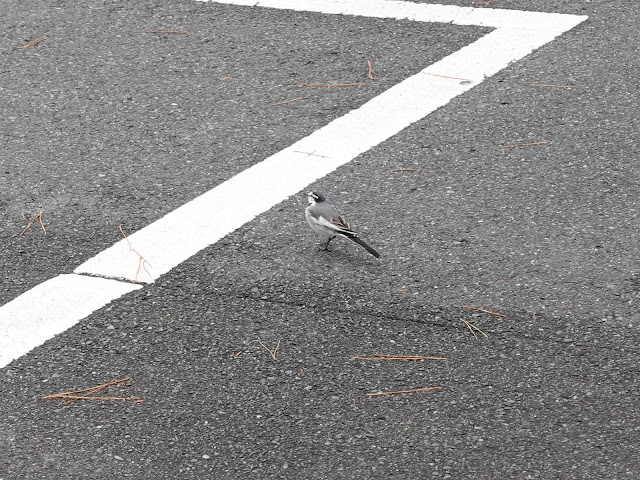 伊藤博文旧宅へ向かいます