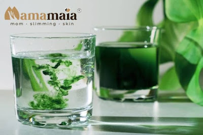 Công thức giảm cân với diệp lục hiệu quả- Mama Maia Spa