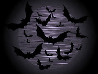 Screechy Bats Halloween Wallpapers