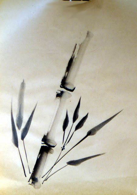 Bamboo Drawings1