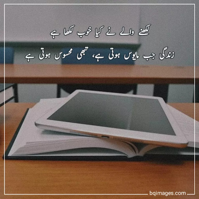 amazing quotes in urdu