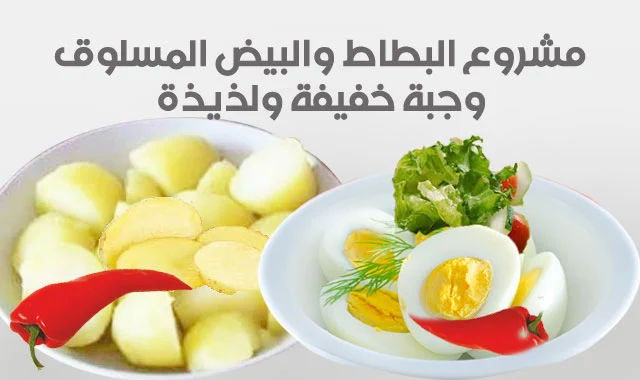 قصة نجاح مشروع صغير مربح