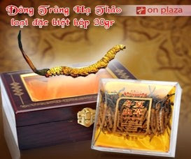 Đông trùng hạ thảo nguyên con tự nhiên