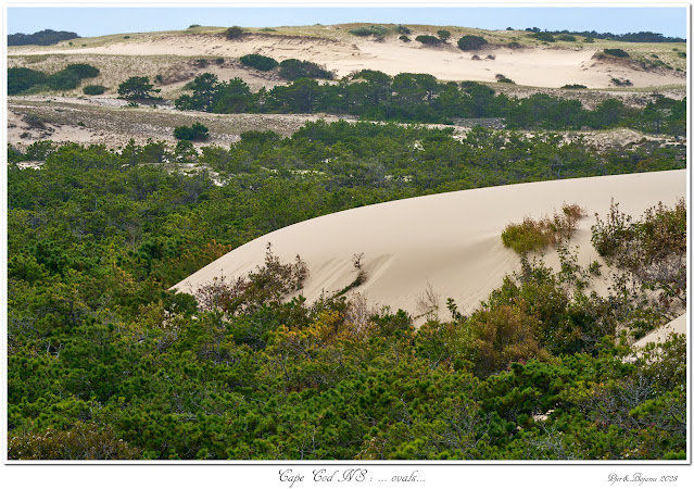 Cape Cod NS: ... ovals...