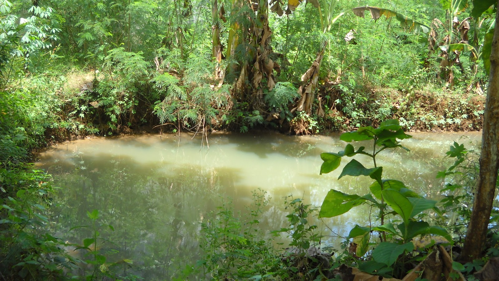 DISEWAKAN TANAH RUMAH  KEBUN GUDANG PINGGIR JALAN KOTA PATI 