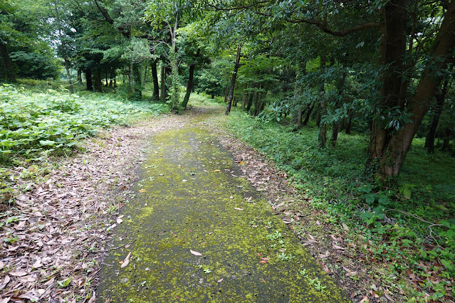 鳥取県西伯郡大山町妻木 鳥取県立むきばんだ史跡公園 弥生の森 遊歩道