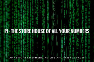 PI THE STORE HOUSE OF ALL YOUR PASSWORDS