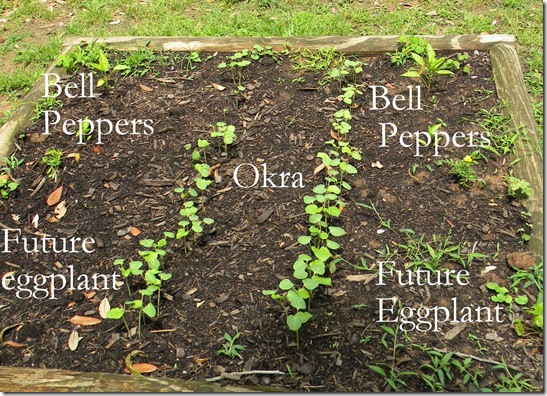 labeled garden 2