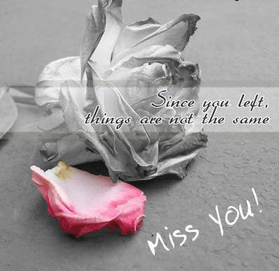 Miss You