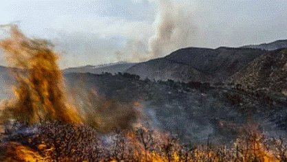des feux de forêt causés par le dérèglement climatique