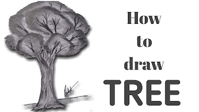 How to draw trees, step by step tutorial,with the pencil ,how to draw trees with graphite pencil, step by step for to draw tree ,tree pencil drawing, pencil drawing of tree,how to draw trees with pencil, drawing for beginners, sketching guide sketching tutorials, how to draw tree for kids,best drawing tutorial for to draw tree,