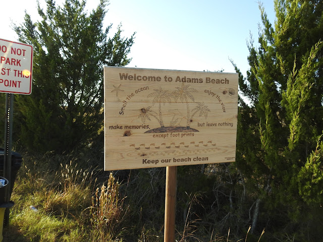 Big Bend Wildlife Management Area