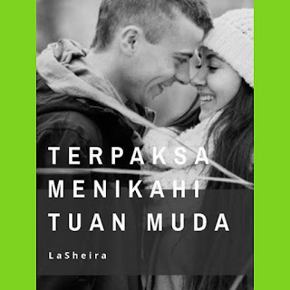 Novel Terpaksa Menikahi Tuan Muda Karya LaSheira Full Episode