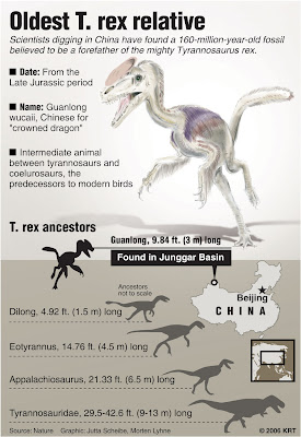 Tyrannosaurs Relative