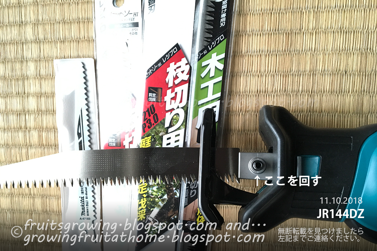 マキタ レシプロソーjr144drf Dz を果樹の剪定に使ってみた おいしい鉢植え果樹の栽培育て方 自宅を果樹園に マキタ レシプロソーjr144drf Dz を果樹の剪定に使ってみた おいしい鉢植え果樹の栽培育て方 自宅を果樹園に