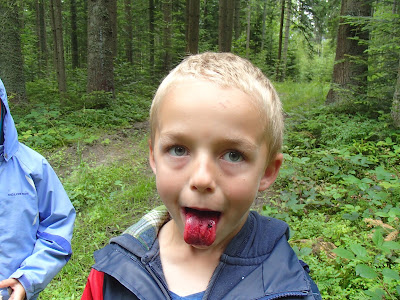 grzyby 2017, grzyby na Orawie, grzyby na Babiej, Gomphus clavatus siatkoblaszek maczugowaty