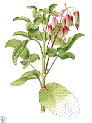 clip_image009