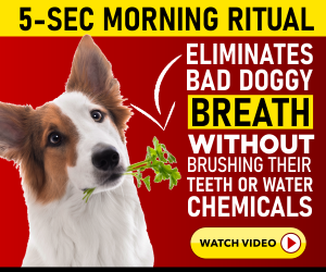 PupLabs Fresh Breathies Reviews 2022:- Dental Dog Chews