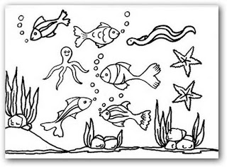 Animales del mar para colorear