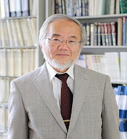 The 2016 Nobel Prize in Physiology or Medicine win Yoshinori Ohsumi for his discoveries of mechanisms for autophagy