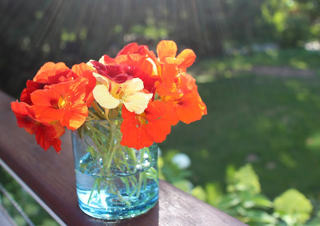 The Garden Appreciation Society -- The Impatient Gardener -- nasturtiums