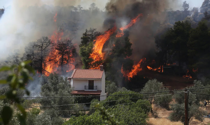 Ανεξέλεγκτη η φωτιά στην Εύβοια: Καίγονται τα πάντα για 3η μέρα! -Χτυπούν καμπάνες για να εγκαταλείψουν τα σπίτια τους