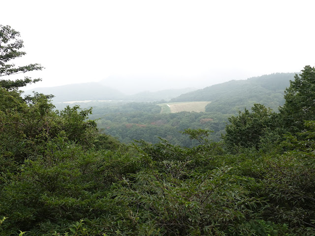 香取の大休峠に向かう山道を降ります　牧草地が見えました